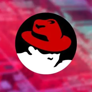 allzhnews avatar