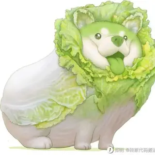 notonlyshare avatar