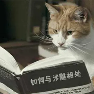 ruheyushadiaoxiangchu avatar