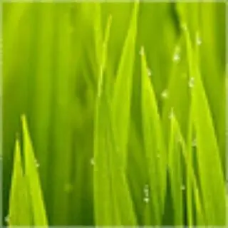 youzhi_info avatar